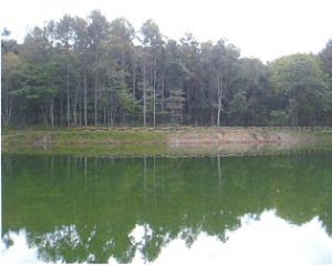 物件北側の菖蒲沢池