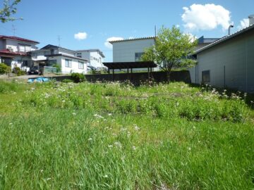物件から南方向を撮影（2018年5月）