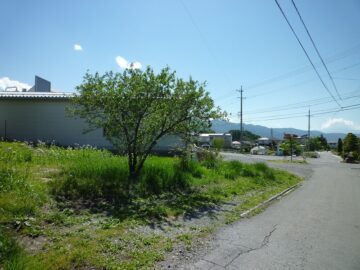 前面道路東側から撮影（2018年5月）