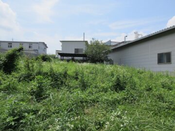 物件から南方向を撮影（2024年8月）