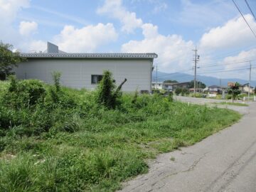 前面道路から撮影（2024年8月）
