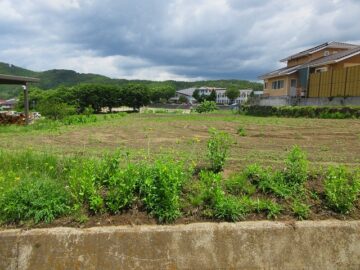 前面道路から北方向を撮影（2022年6月）