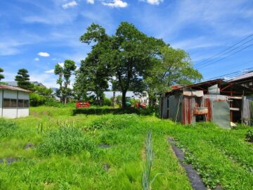 物件から東方向を撮影(2022年6月）
