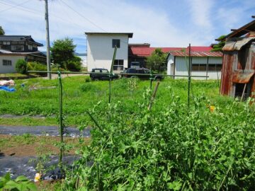 物件から北方向を撮影（2022年6月）