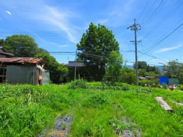 物件から南方向を撮影（2022年6月）