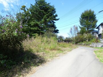 前面道路南側から撮影（2022年10月）