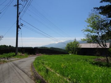 前面道路北側から撮影（2025年5月）