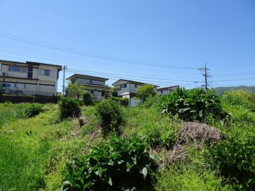 物件南方向を撮影（2025年5月）