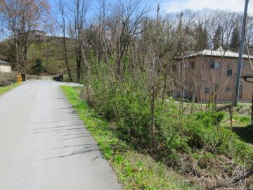 道路西側の敷地