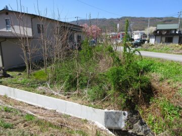 道路西側の敷地