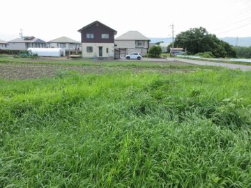 物件西方向を撮影（2025年8月）