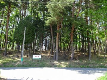 前面道路から撮影（2025年5月）