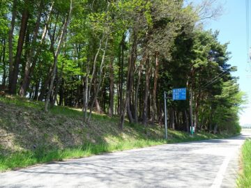 前面道路南西側から撮影（2025年5月）