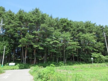 南東側から物件方向を撮影（2025年7月）