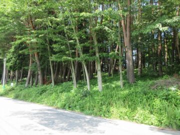 前面道路東側から撮影（2025年7月）