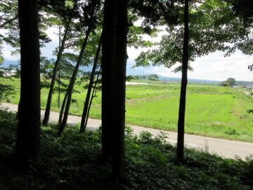物件から東方向を撮影（2025年7月）