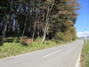 前面道路東側から撮影（2025年11月）