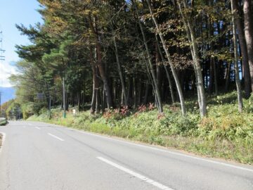 前面道路から撮影(2025年11月) 前面道路から撮影(2025年11月)