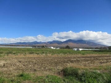 前面道路から東方向を撮影（2023年11月）