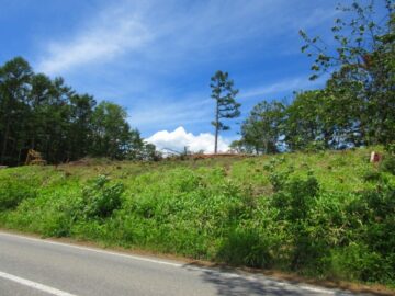 前面道路東側から撮影（2026年6月）