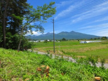 物件東方向の八ヶ岳の眺望（2026年6月）
