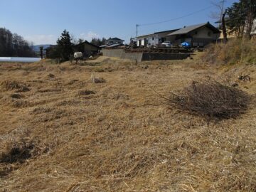 南側の日当たりがよく程よい大きさの畑（156坪）（2024年2月）