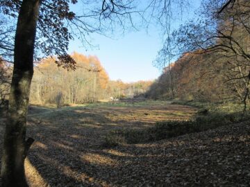 物件から東方向を撮影（2025年11月）