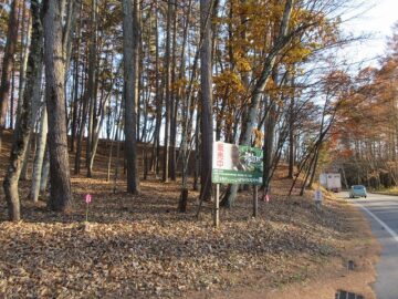 西側道路北側から撮影(2025年11月）