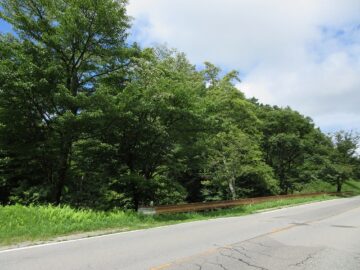 鉢巻道路から撮影（2024年8月）