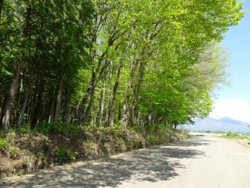前面道路から八ヶ岳の眺望のある東方向を撮影（2025年5月）