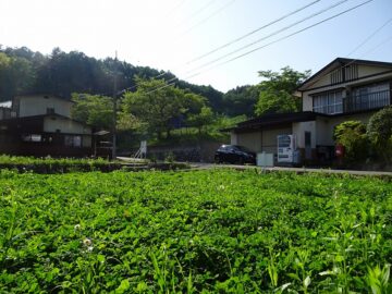 物件から北西方向を撮影（2025年5月）