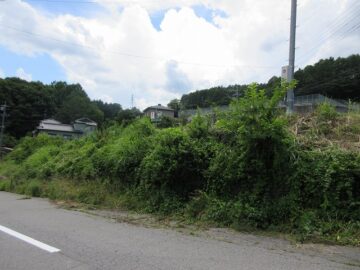北側から物件を撮影（2025年7月）