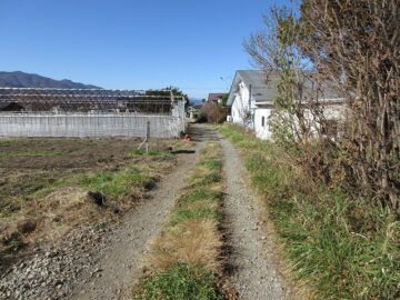 北側未舗装道路から西方向を撮影（2024年11月）