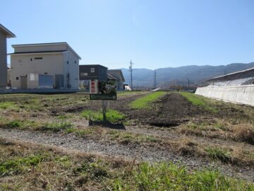 前面道路から撮影（2024年11月）