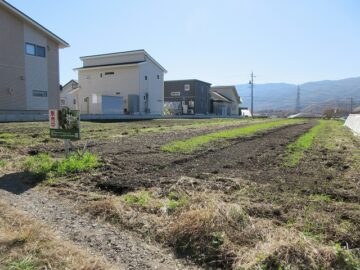 前面道路から撮影（2024年11月）
