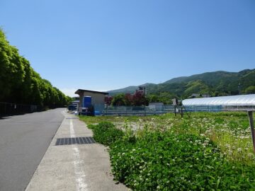 前面道路北から撮影（2025年5月）