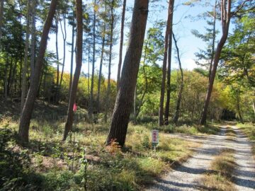 前面道路東側から撮影(2025年10月) 前面道路東側から撮影(2025年10月)