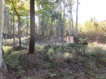 物件南側から撮影(2025年10月) 物件南側から撮影(2025年10月)