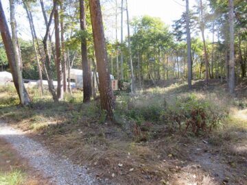 前面道路西側から撮影(2025年10月) 前面道路西側から撮影(2025年10月)