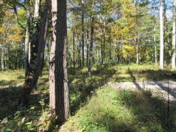 物件北方向を撮影(2025年10月) 物件北方向を撮影(2025年10月)