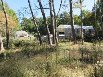 物件東方向を撮影(2025年10月) 物件東方向を撮影(2025年10月)