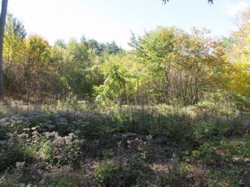 物件西方向を撮影(2025年10月) 物件西方向を撮影(2025年10月)