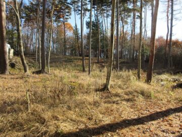 前面道路から物件を撮影(2025年11月）