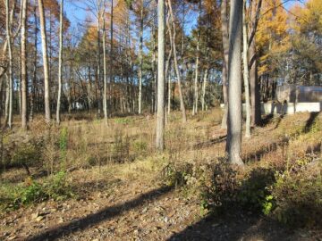 物件北方向を撮影(2025年11月) 物件北方向を撮影(2025年11月)