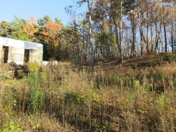 物件東方向を撮影(2025年11月）