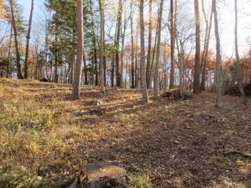 物件南方向を撮影(2025年11月）