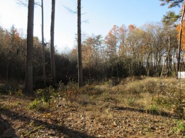 物件西方向を撮影(2025年11月）