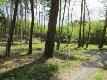 前面道路北東側から撮影（2026年5月12日）