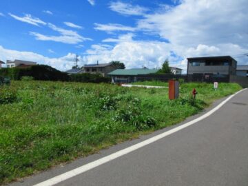 前面道路から撮影（2026年8月）