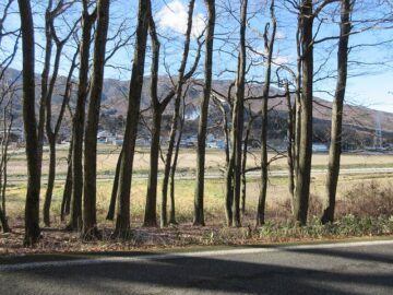 前面道路から西方向を撮影（2024年12月）